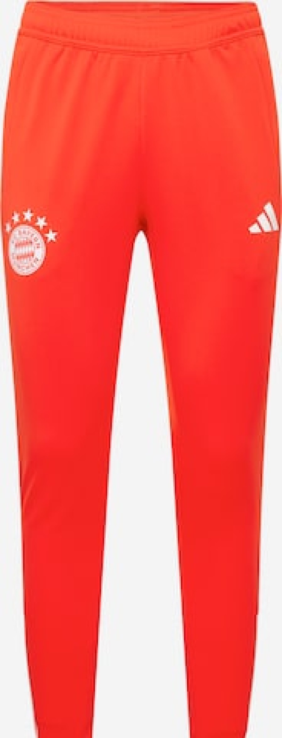 Manner Trainingsanzug Hose | Slim Fit Trainingshose 'Fc Bayern Munchen Tiro 23'